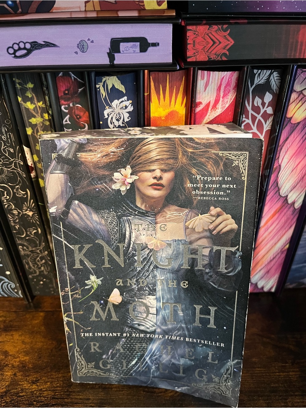 The Knight and the Moth by Rachel Gillig Deluxe OOP